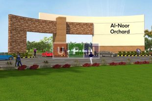 Al-Noor Orchard